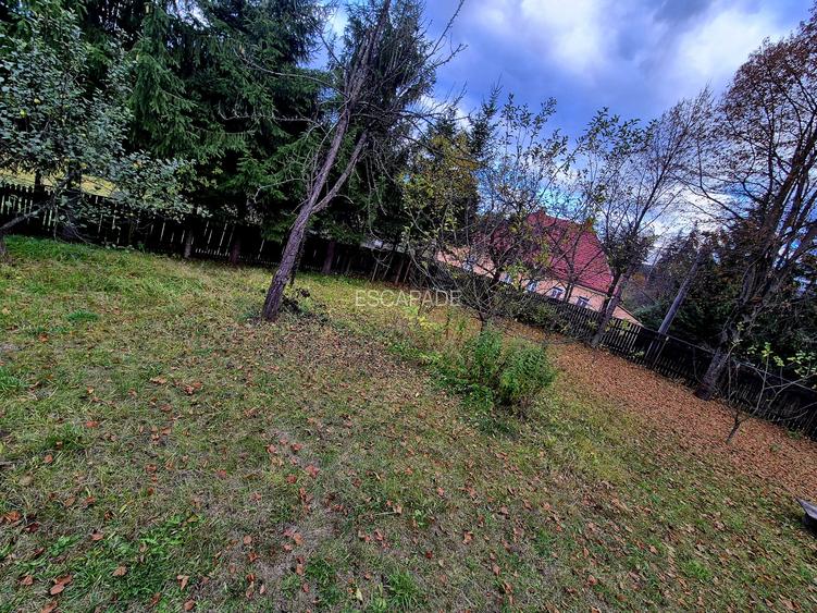 Casa de vacanta Timisu de Sus/Brasov/Oportunitate investitie - 20