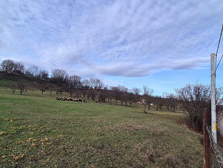 Teren intravilan  Vălenii de Munte – 9.123 mp | Deschidere 45 ml | Lângă râul Te - 8