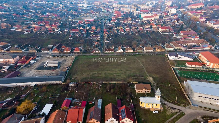 Teren intravilan Premium în Chișineu Criș - 19