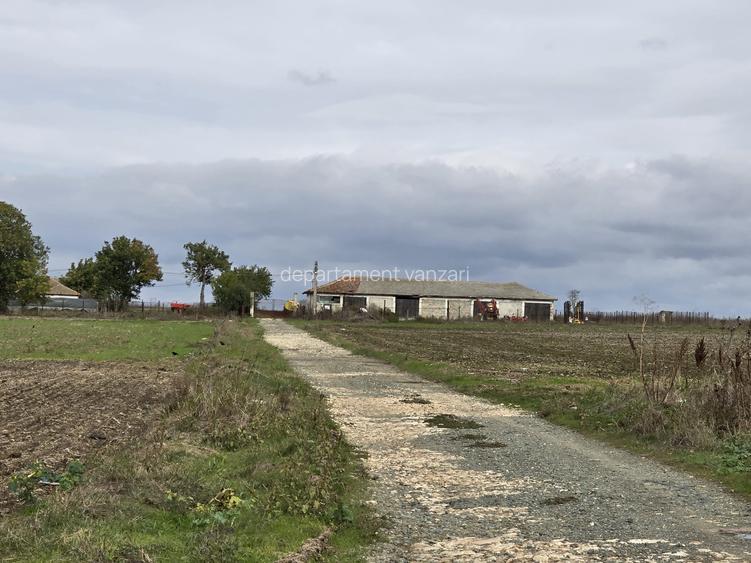 Amzacea- sat G.Scarisoreanu -Ferma zootehnica , 5.1 ha - 3