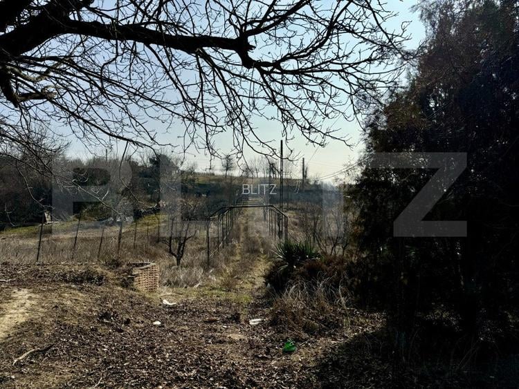 Conac cu teren intravilan 8759 mp, priveliste panoramica, Ciutura - 13