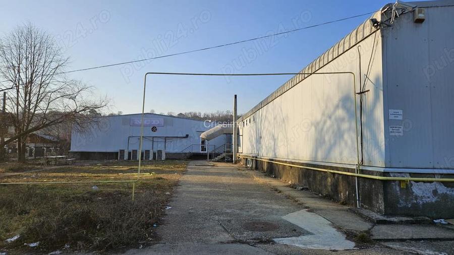 Hala industriala de vanzare in zona Valeni de Munte - 4