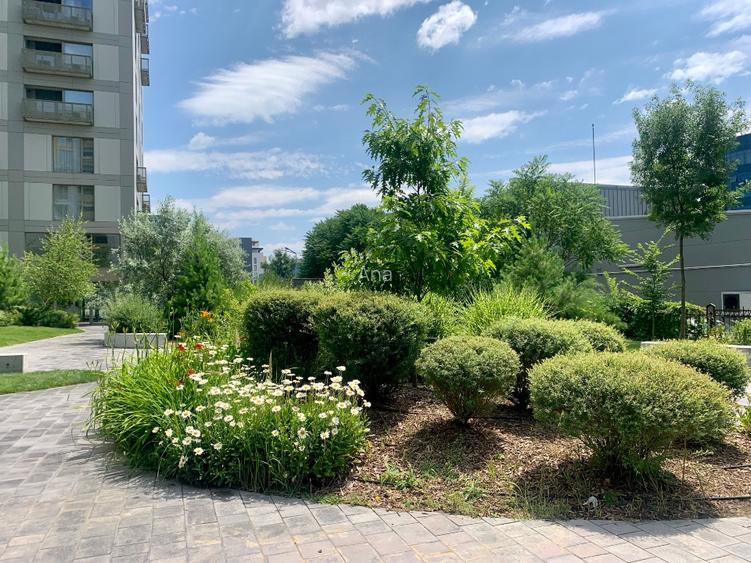 Aviatiei Park ready to move /rent  - 15