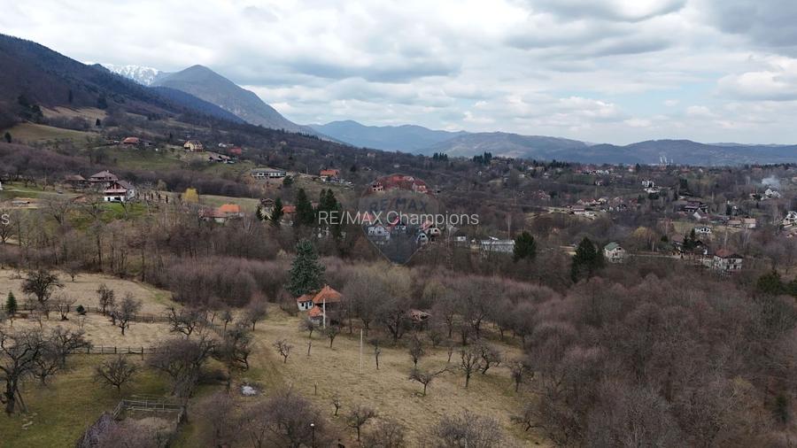 10.51 Euro + TVA / mp: Teren Bran Predelut, 24.253 mp, intravilan - 6