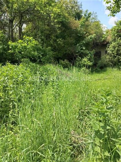 Teren de peste 5.000mp, front la DJ, Valcele, Brasov -- Covasna - 7