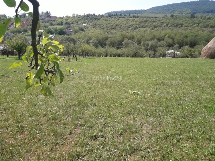 85 ari teren extravilan, intre case, la limita intravilanului Zona Valea Rusului - 8