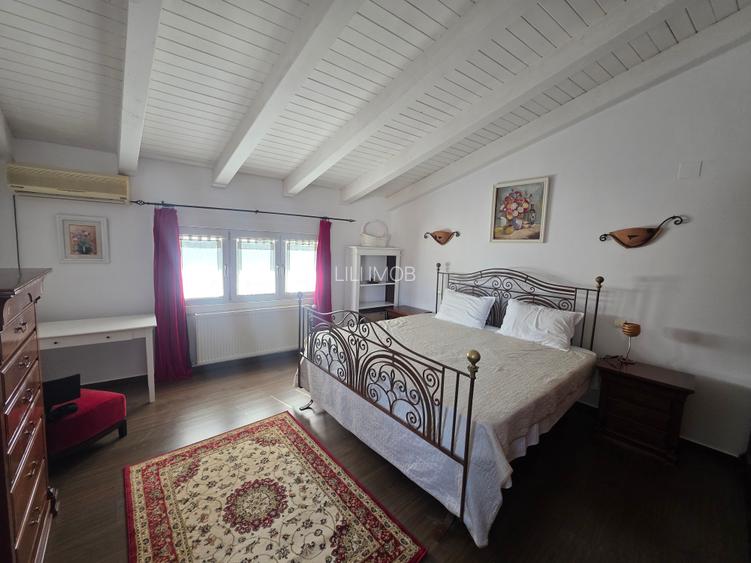 Vand casa P+M central - 6