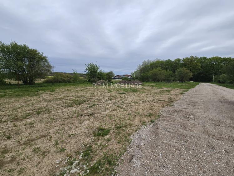 Clinceni Ordoreanu lot teren 1000mp - 4