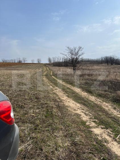 Teren intravilan de vanzare, 9783 mp, Paleu zona Iacului
