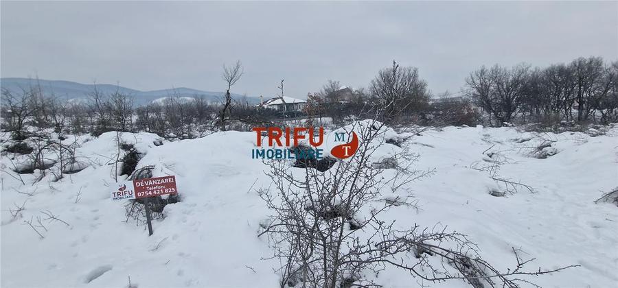 Teren de vanzare zona Podei