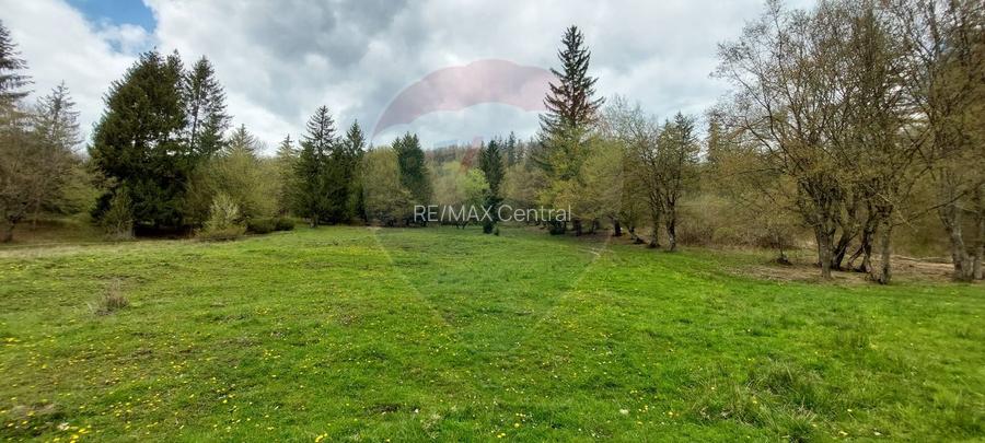 Poienita 2800mp, Covasna, zona hotel Clermont, inconjurat de padure - 13