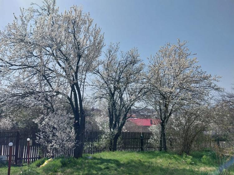 Casa cartojani giurgiu gaze apa centrala, direct proprietar - 12