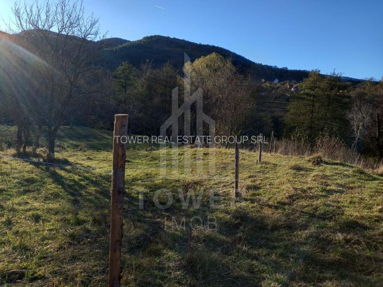 Teren intravilan Fântânele-Sibiu - 4