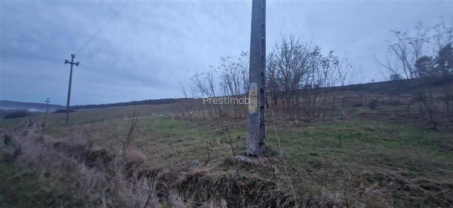 De vanzare teren 1,2 Ha in Laureni - 5