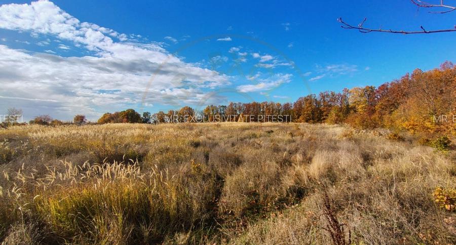 Teren 10200 mp Mosoaia - 5