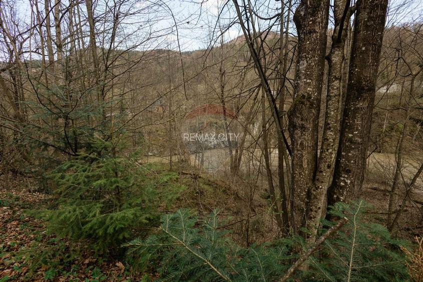 Casa si teren intravilan Tarcau - 23