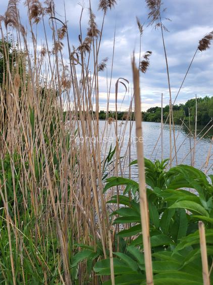 VANZARE TEREN CU VEDERE LAC CORBEANCA PRET NEGOCIABIL - 3