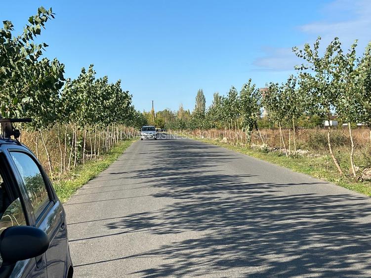 Titan - Policolor- Drum Gura Solcii 3050 mp - 7