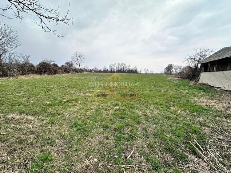 Teren de vanzare Blagesti Bacau - 8