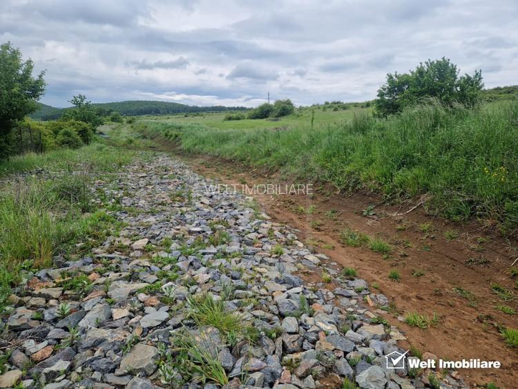 Terenuri de vis in Salicea – Investitia perfecta sau locul ideal pentru casa ta. - 2