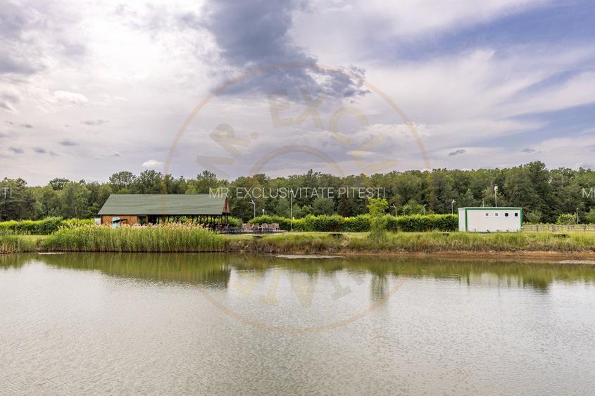 Afacere multifuncțională cu venituri imediate si potențial de extindere - 9