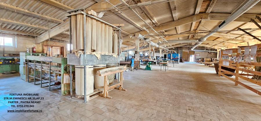 Complex imobiliar format din cladiri si constructii industriale+teren intravilan - 16