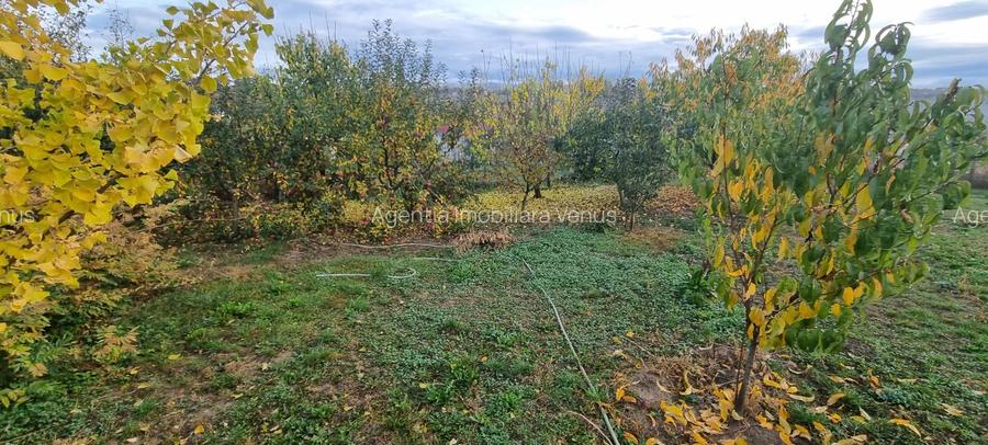 Teren intravilan imprejmuit la intrare in Curtesti - 2