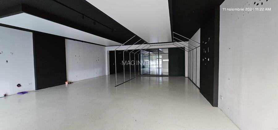 Vanzare/Inchiriere - Hala productie si depozitare,  Bd. George Cosbuc - 5