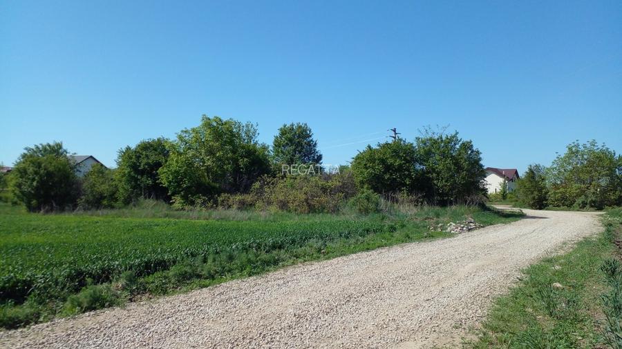 Teren Construcții extravilan de 4881 mp, în Corbeanca - 7