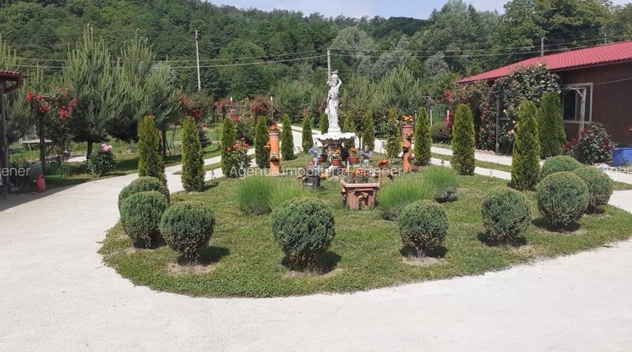 Casa P+M, Malureni -Toplita,  teren 2.798mp - 4