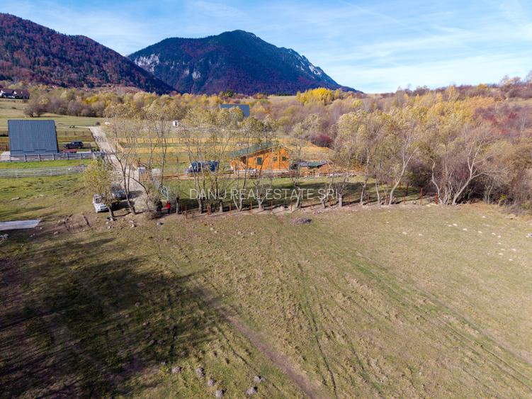 Teren intravilan 2500mp Tohanita Zarnesti- ideal casa de vacanta - 17
