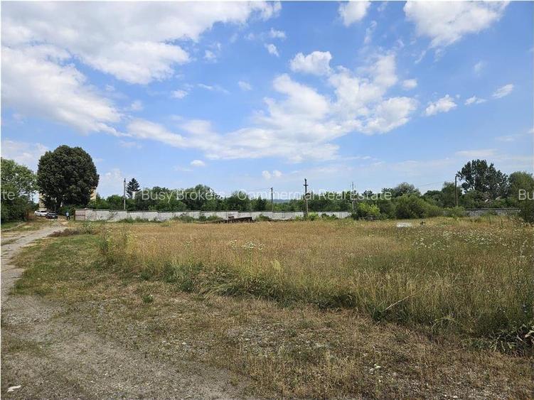 Proprietate Industriala - Productie - Industrie Alimentara - 31