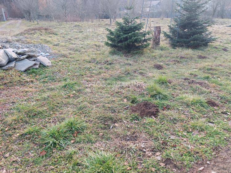 Casa 4 camere libera la vanzare, pozitie deosebita VULCAN - 34