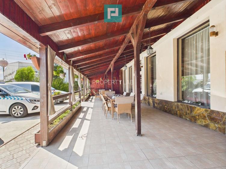 Pensiune la Orțișoara - 21