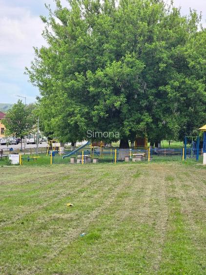 Aproape de Marginimea Sibiului, casa in inima unui parc - 3