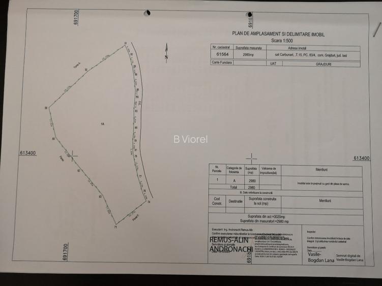 Intravilan 2980 mp - Persoană fizică  - 4