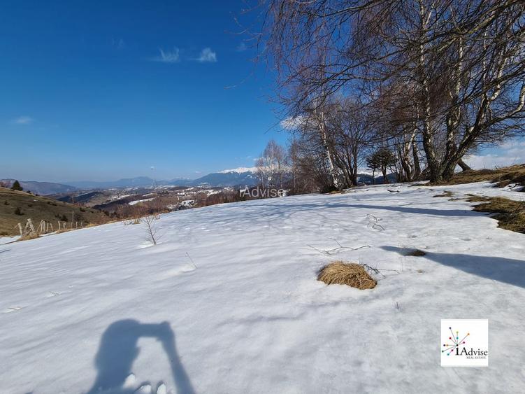 Teren De Vanzare In Sirnea - 22