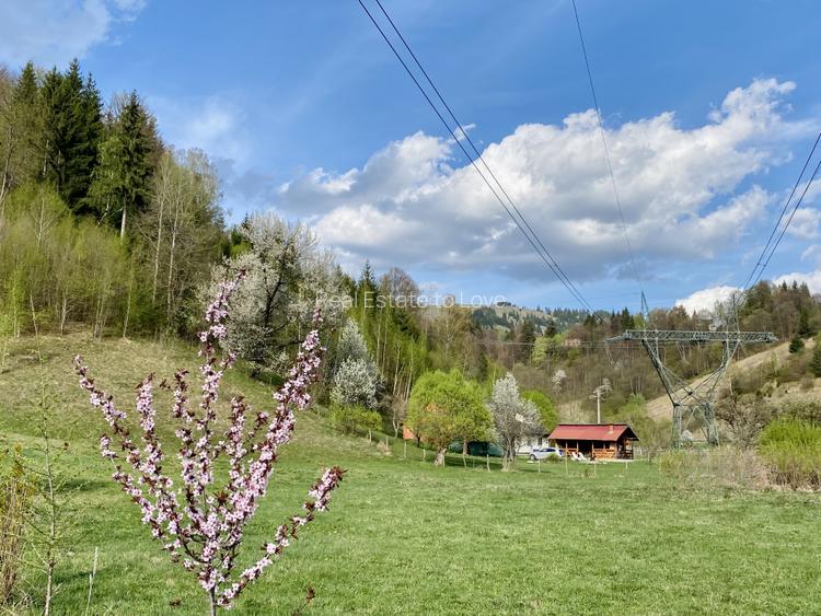 Teren panoramic insorit, utilitati, panta mica si padure, turism sau vacanta - 8