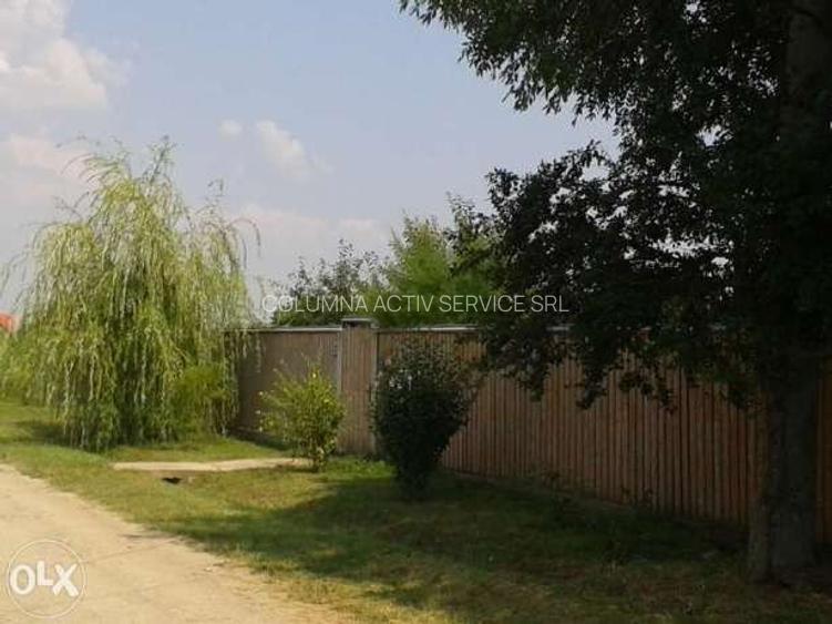 Gradistea 1250mp 25e/mp - 2