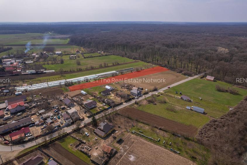 NUCI - BALTA NEAGRA, LOT 3900 MP, LA PADURE! - 9