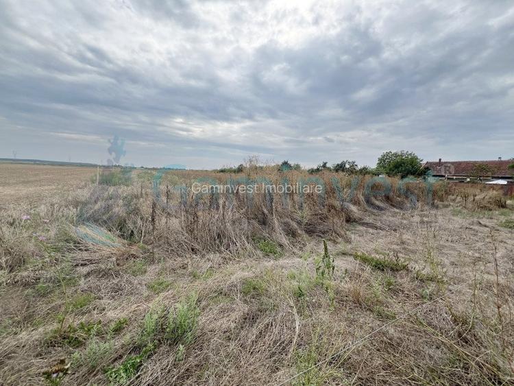 Teren intravilan de vanzare, Bihor - 3