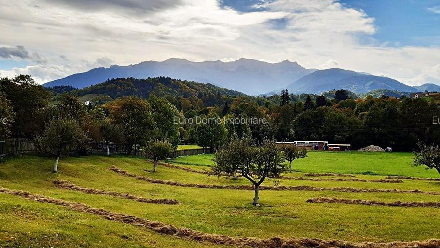 Teren superb de 16240mp, parcelabil, in Bran la intrare in Moeciu de Jos - 9