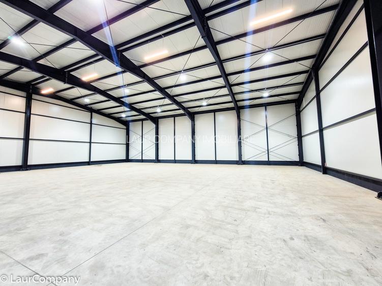 Spatiu  Industrial  Hala Pitesti - 10