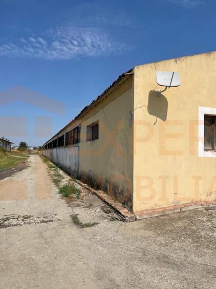 Hală de Vânzare Ovidiu | Teren 3000 mp | Investiție