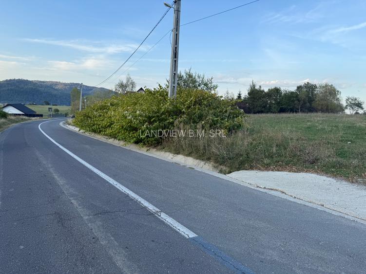 Teren intravilan 500 sau 1200 mp Bran-Tohanita la dum asfaltat - 12