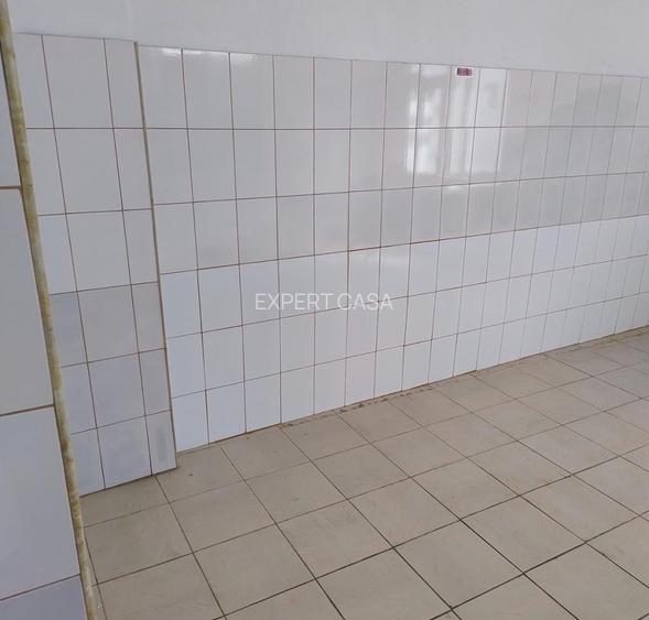Spatiu Comercial | Cismigiu | Victoriei | Stradal