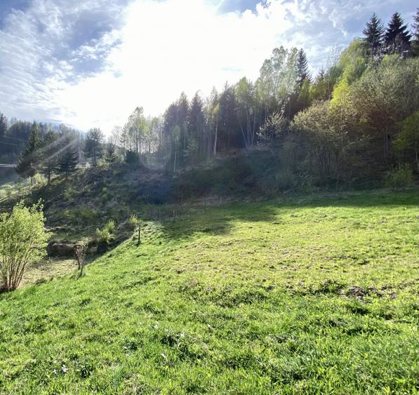 Teren panoramic însorit, utilități, panta mica si pădure, turism sau vacanță