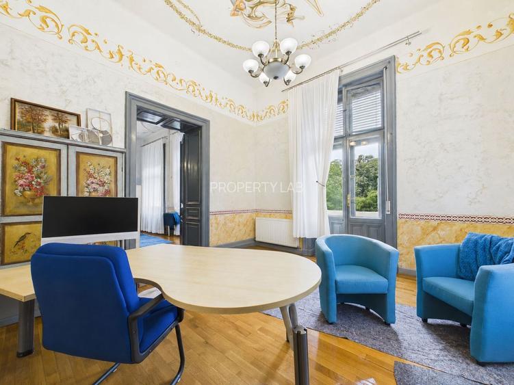 Apartament emblematic in Palatul Cenad, Arad - 4