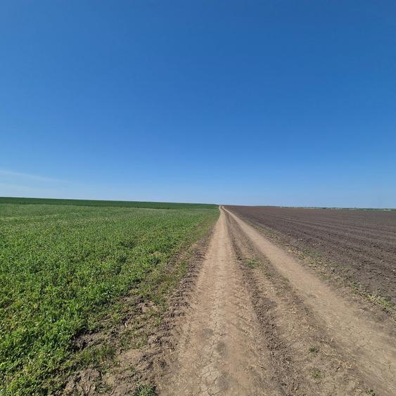 GRADISTEA - Sat Sitaru, teren agricol 11.961mp, ideal investitie