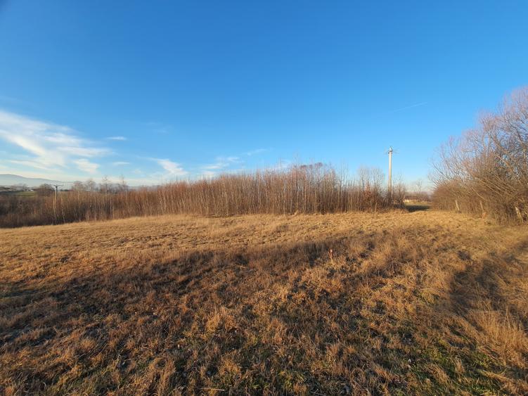 Teren intravilan Bran – Sohodol zona de case